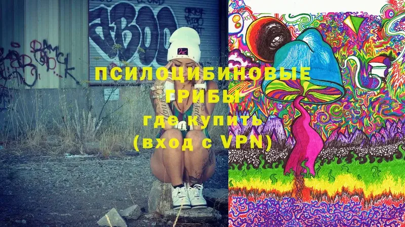 Псилоцибиновые грибы Magic Shrooms  Белозерск 